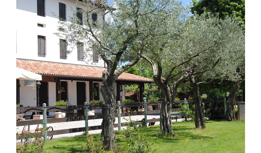 Agriturismo La Pioppa