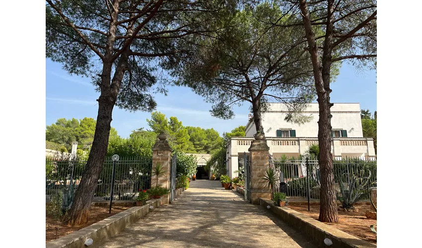 Masseria La Camardia