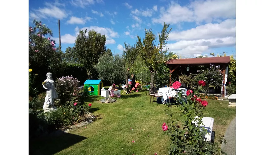Ristorante dell'Albero