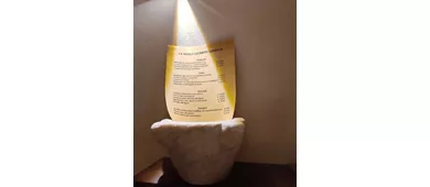 La nuova cuciniera genovese