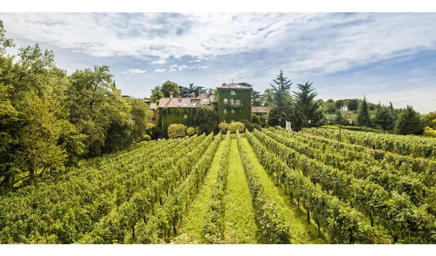 Italy Destination by Paltours