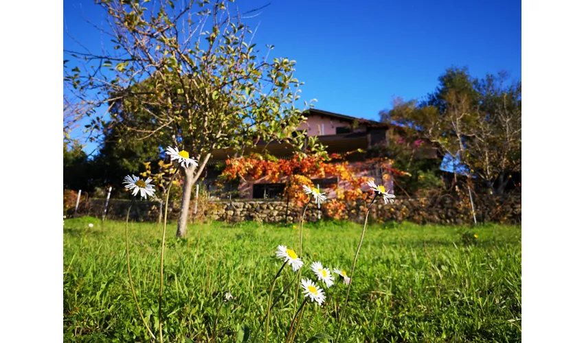 La Tinaia Country House