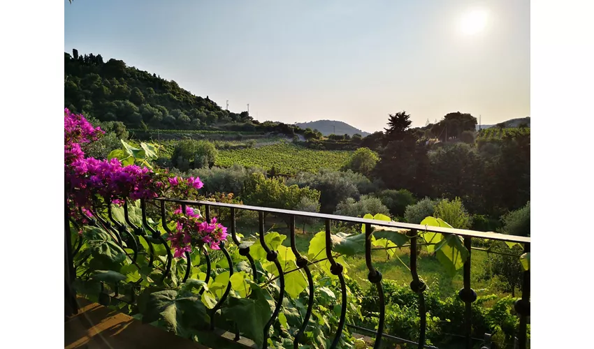 La Tinaia Country House