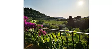 La Tinaia Country House