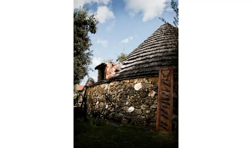 Azienda Agrituristica Sa Mandra