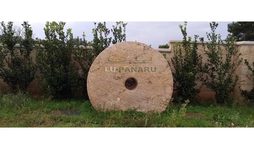 Lu Panaru