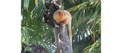 Parco Zoo Punta Verde