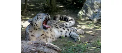 Parco Zoo Punta Verde