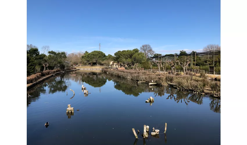 Parco Zoo Punta Verde