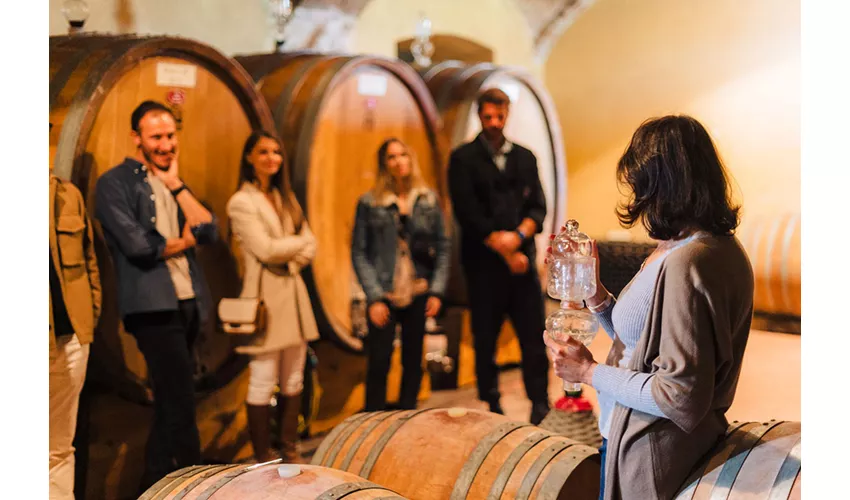 il Bosco delle Galline Volanti