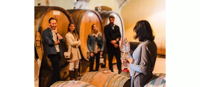 il Bosco delle Galline Volanti