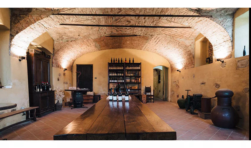 il Bosco delle Galline Volanti