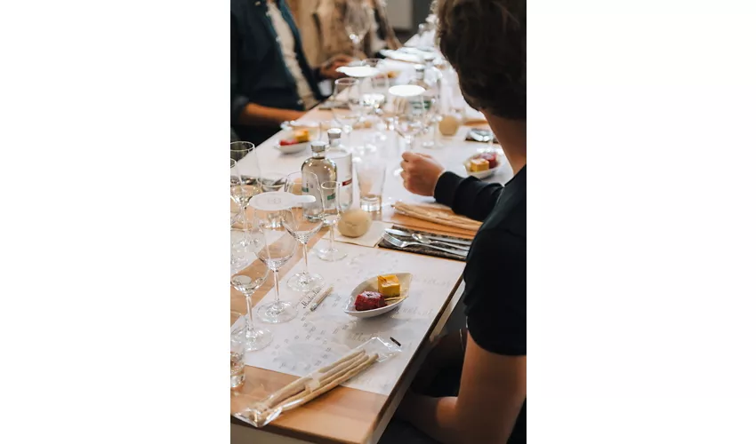 il Bosco delle Galline Volanti