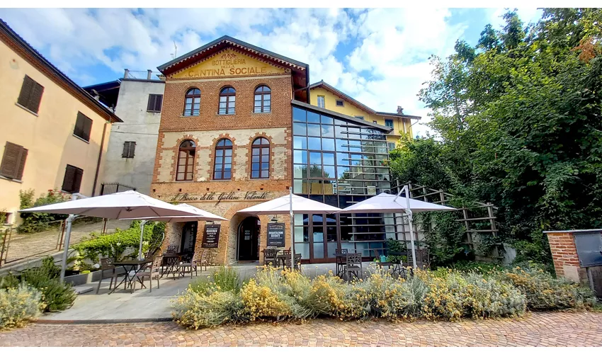 il Bosco delle Galline Volanti