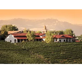 il Bosco delle Galline Volanti