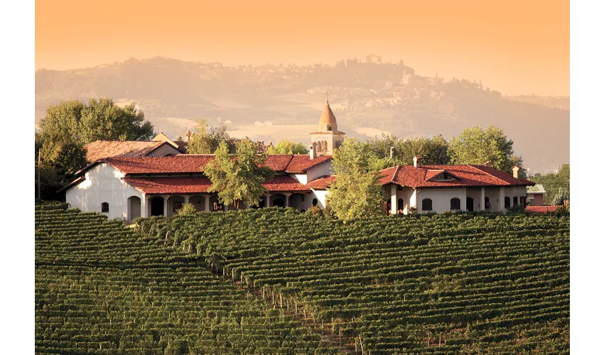 il Bosco delle Galline Volanti