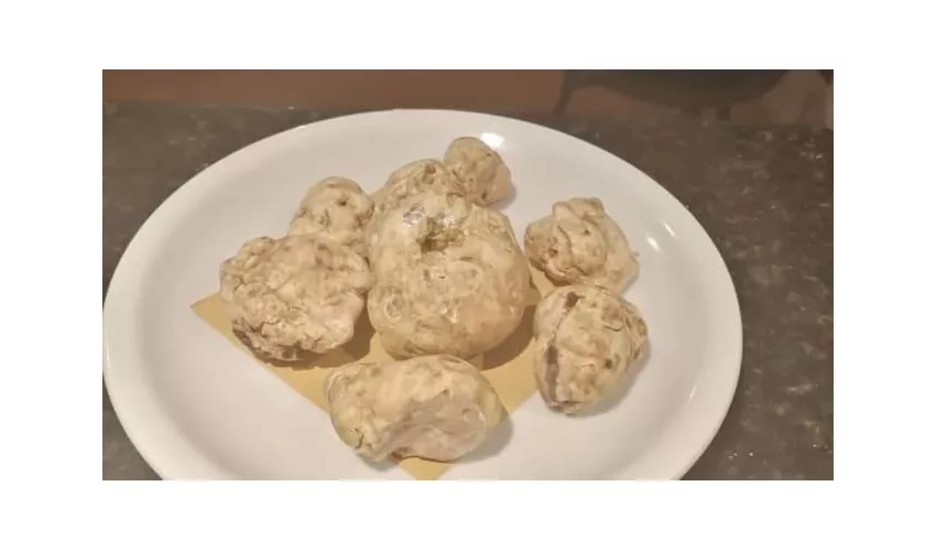 Trattoria le prunecce
