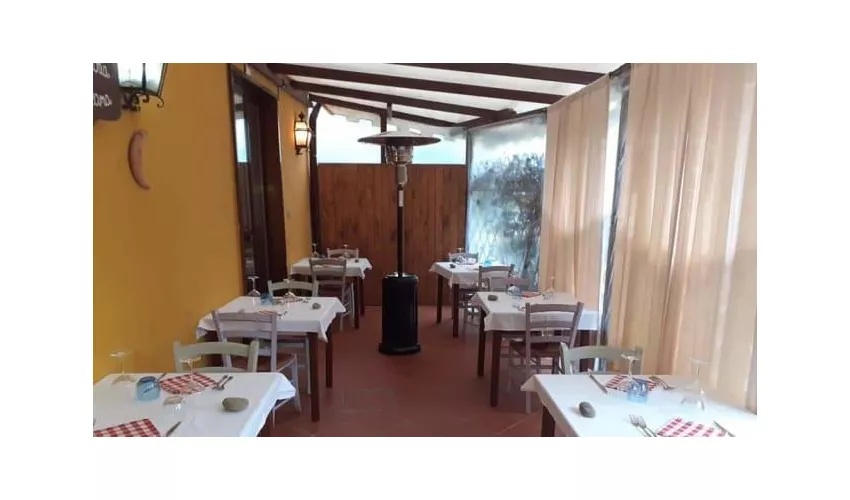 Trattoria le prunecce