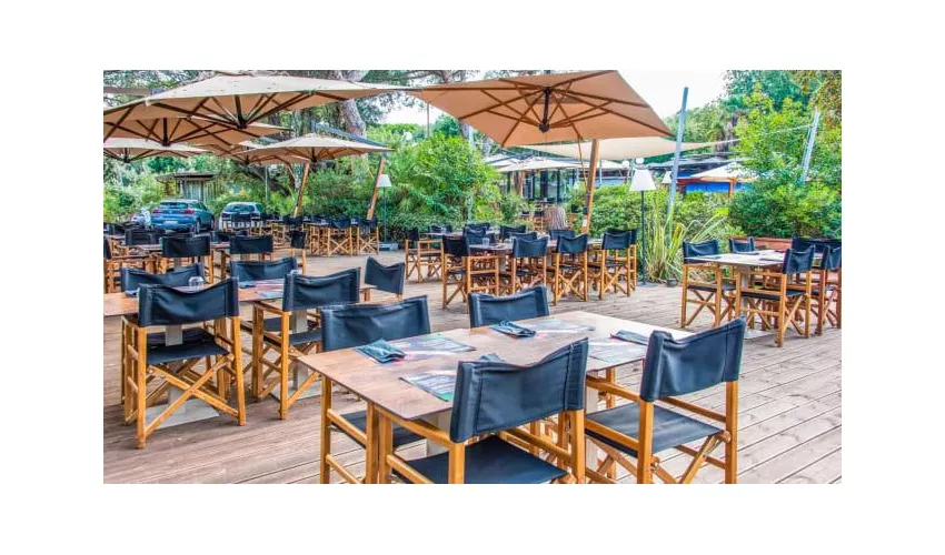 Magù - Pizza e Birra