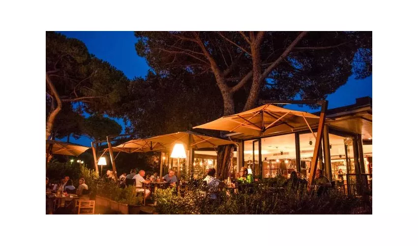 Magù - Pizza e Birra