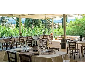 Agriturismo Tenuta di Mensanello