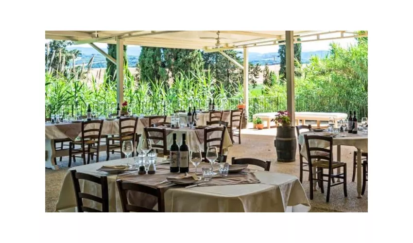 Agriturismo Tenuta di Mensanello