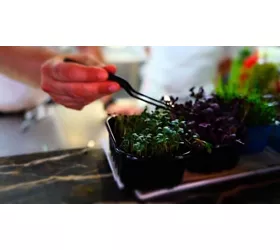 Ristorante Scialì • Vieste Oasi Beach