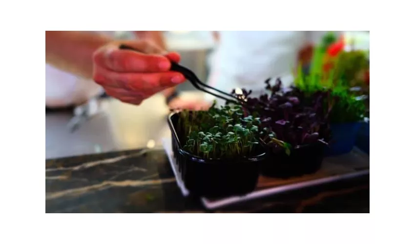 Ristorante Scialì • Vieste Oasi Beach