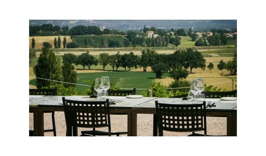 Agricola Mevante Cantina&Bistrot