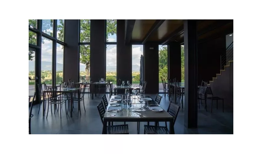 Agricola Mevante Cantina&Bistrot