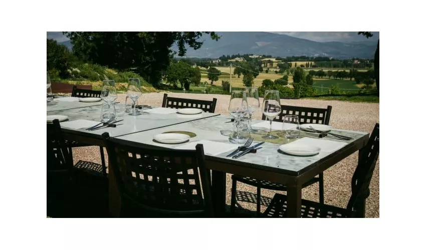 Agricola Mevante Cantina&Bistrot