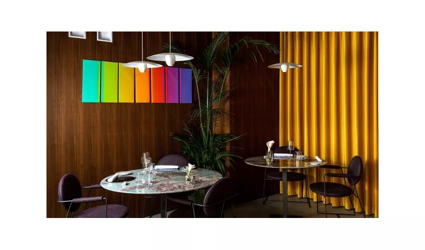 Atena Multi Forme