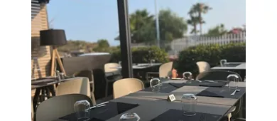 Albatross