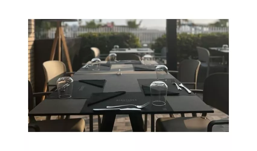 Albatross