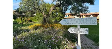 Sabores Bistrot