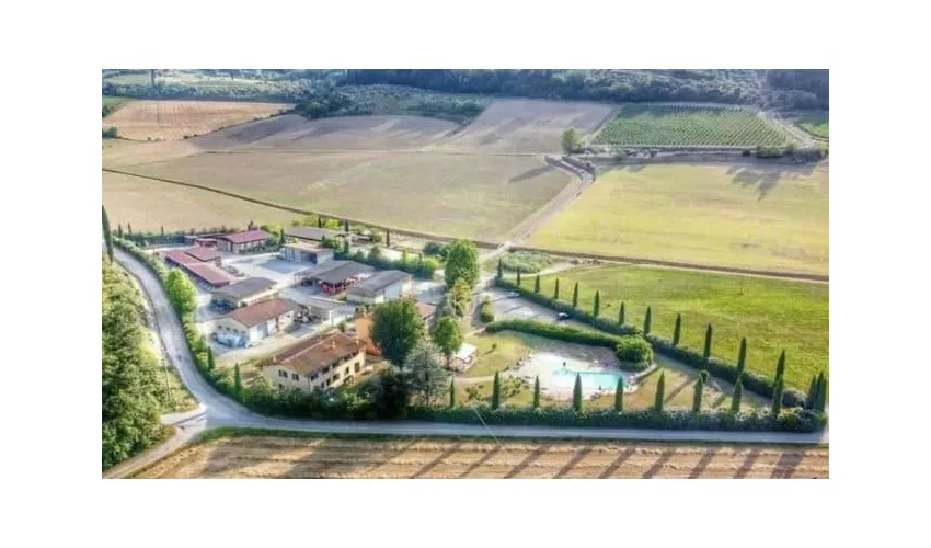 Tenuta Borgo al Sole