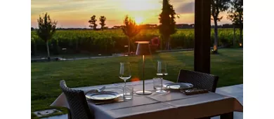 Azienda Agricola Imperiale Bolgheri