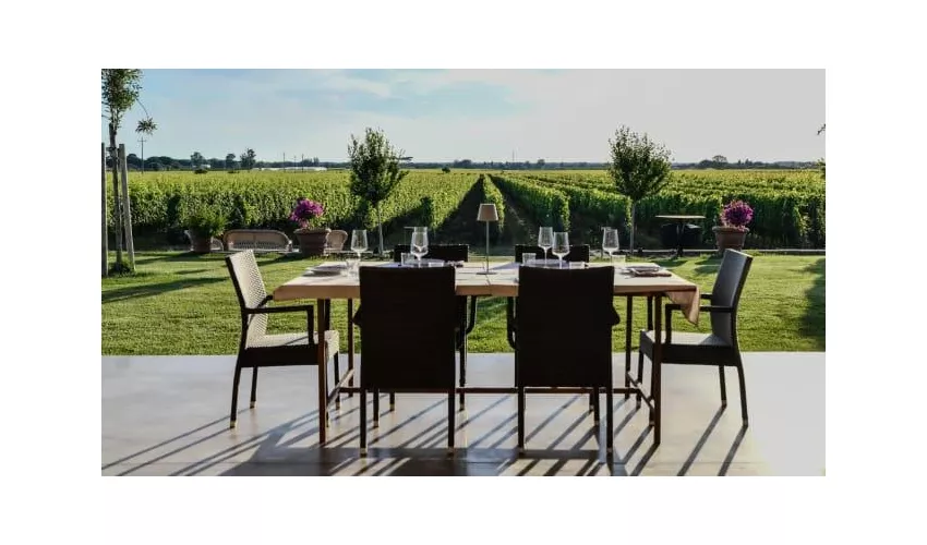 Azienda Agricola Imperiale Bolgheri