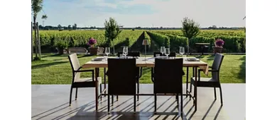 Azienda Agricola Imperiale Bolgheri