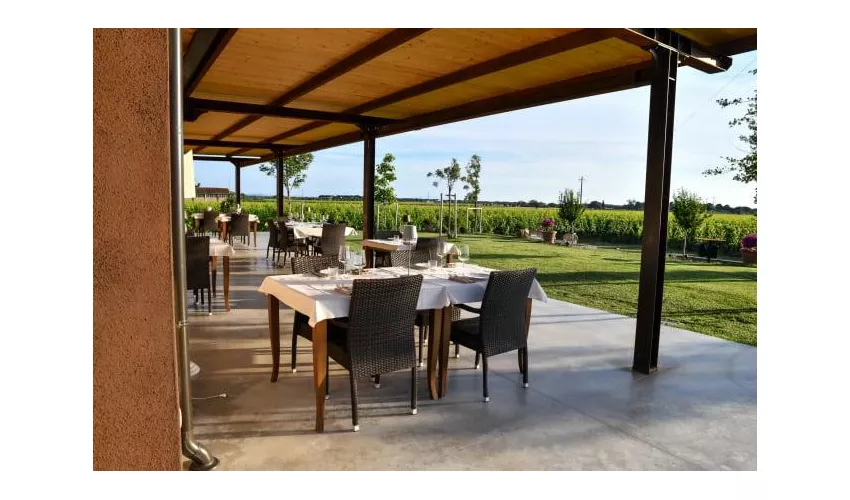 Azienda Agricola Imperiale Bolgheri