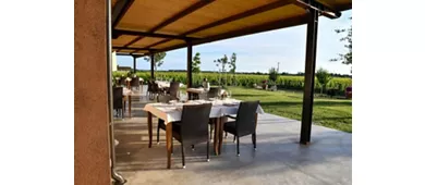 Azienda Agricola Imperiale Bolgheri