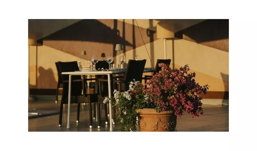 Azienda Agricola Imperiale Bolgheri