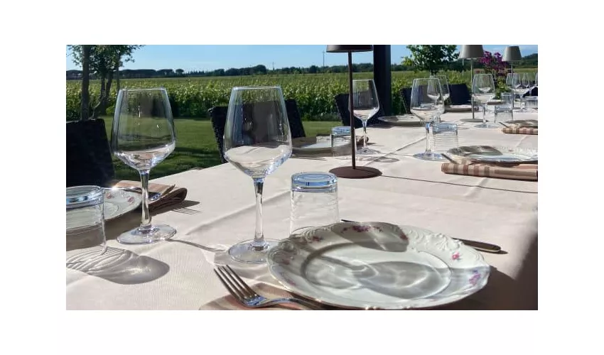 Azienda Agricola Imperiale Bolgheri