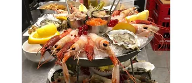 Ostrea Alba-CN Piemonte