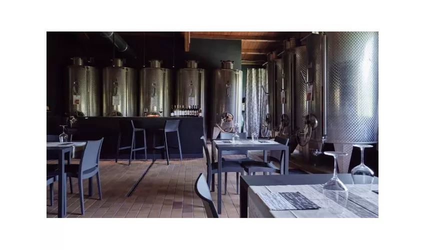 Cantina Glicine - Agriturismo e Cantina