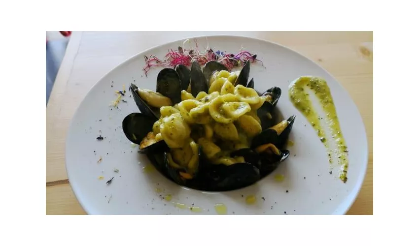Paninart Trani