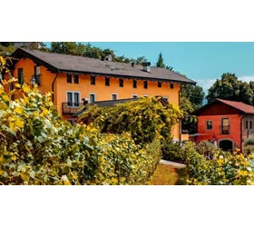 Mas dei Chini - Cantina, Ristorante e Agriturismo