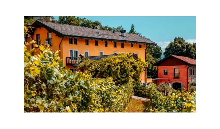 Mas dei Chini - Cantina, Ristorante e Agriturismo