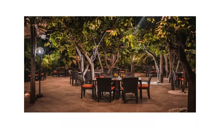 L'agrumeto barbecue and more