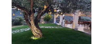 Ristorante Su Debieddu